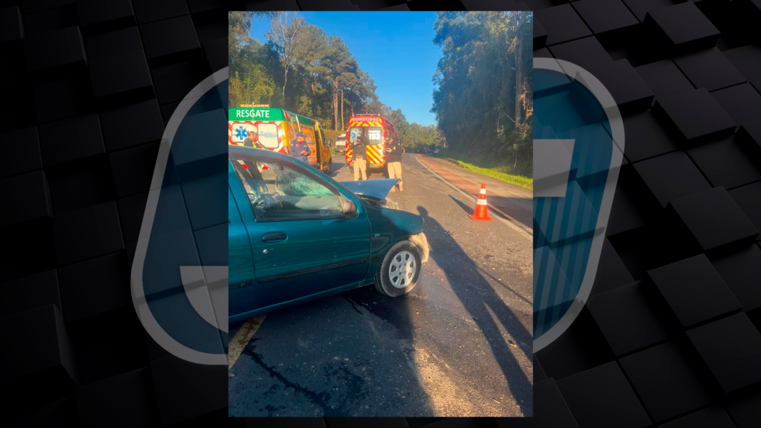 Caminhoneiro Foge Ap S Acidente Carro Em Mafra Jmais